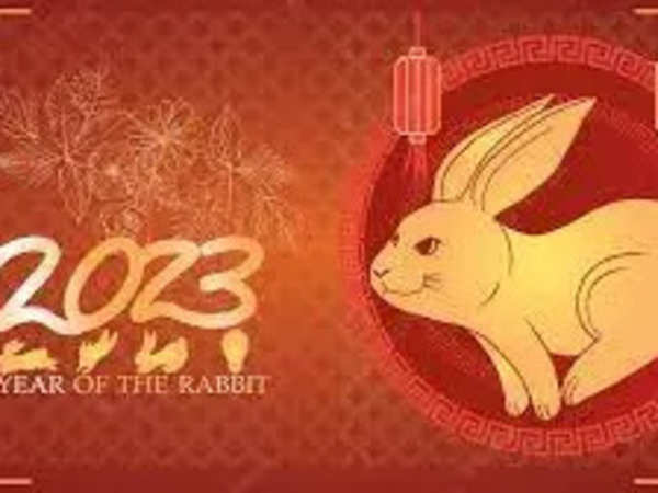 Chinese New Year 2023: What Does The Year Rabbit Mean? 6 Things To Know -  The Economic Times